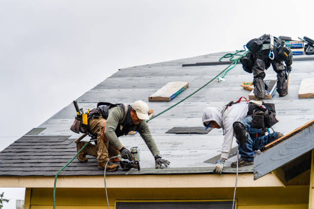 Professional Storm Damage Roof Repair technician working in Hamilton, IA